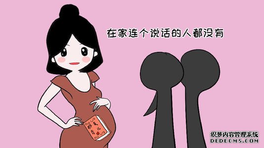 杏鑫网址打不开, 杏鑫登录不上,