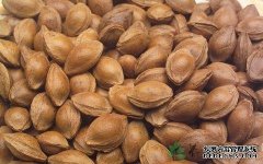 杏鑫注册平台苦杏仁能降血脂吗