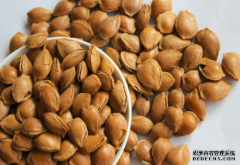 杏鑫登录网站苦杏仁的食用方法