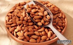 食用杏仁的注意事项有哪些杏鑫平台注册登录