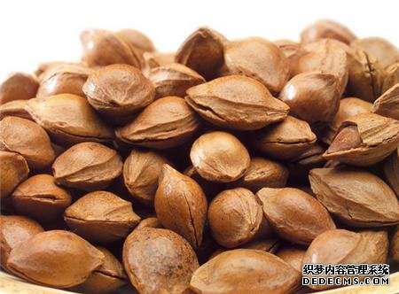 杏鑫注册代理, 杏鑫注册会员,