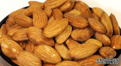 杏仁的作用与功效知识杏鑫注册平台