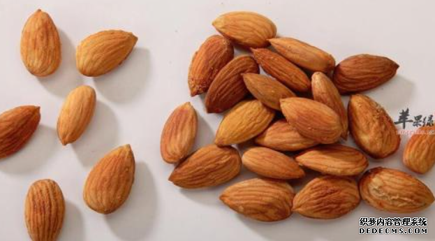 杏鑫注册服务, 杏鑫如何注册,