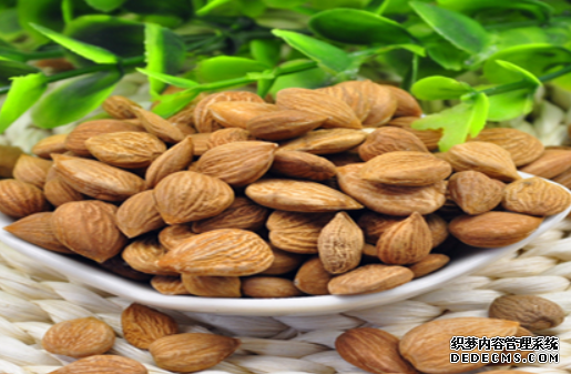 杏鑫登录不上, 杏鑫官网发布,