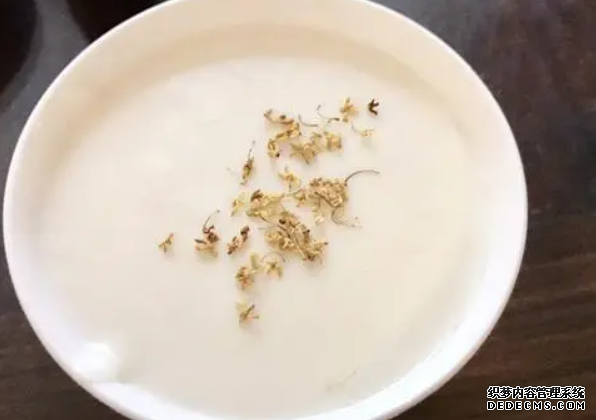 杏鑫如何注册, 杏鑫注册代理,