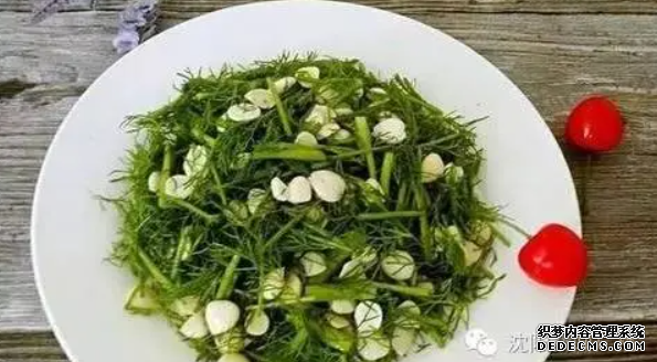 杏鑫网址打不开, 杏鑫登录不上,