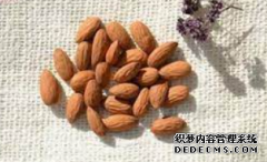 杏鑫注册杏仁润肠茶——润肠燥清热解毒