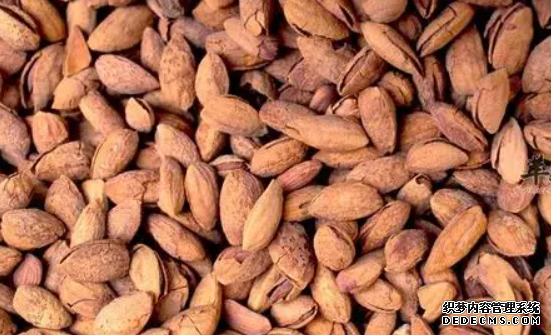 杏鑫注册代理, 杏鑫注册会员,