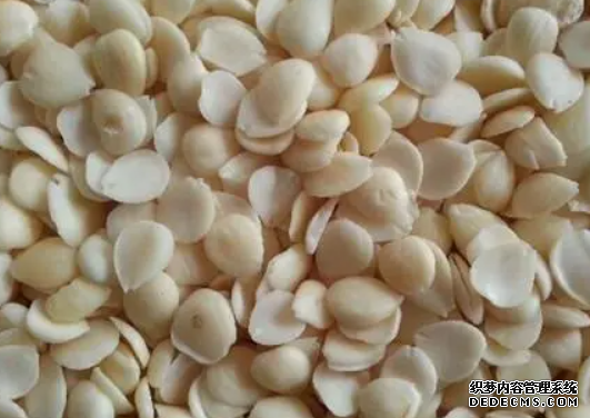 杏鑫注册代理, 杏鑫注册会员,