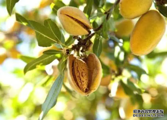 杏鑫注册登录官网,杏鑫平台在线注册,