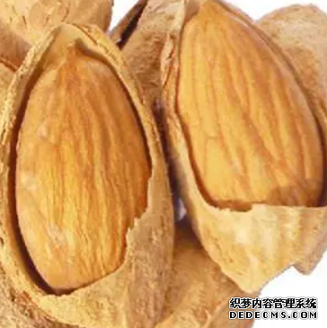 杏鑫VIP登录中心, 杏鑫注册登录官网,